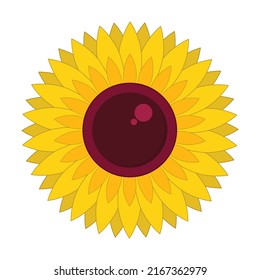 Isolated beautiful sunflower vector graphics