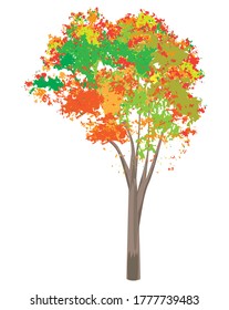 isolated beautiful tree on white background vector design