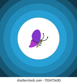 Isolated Beauty Fly Flat Icon. Summer Insect Vector Element Can Be Used For Butterfly, Monarch, Moth Design Concept.