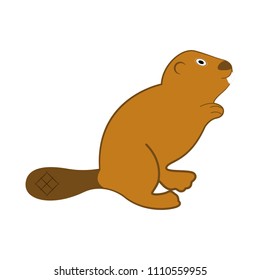 Isolated beaver icon