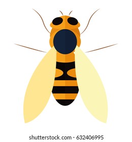 Isolated bee on a white background, vector illustration