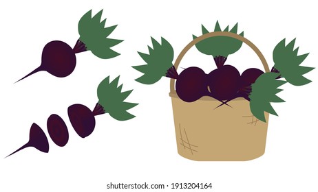 isolated beet on white background