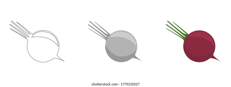 Isolated beet root on white background. Vector illustration EPS10