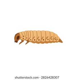 Isolated Beetle Larva Vector Illustration - Grub or Sago Worm for Educational and Biological Design