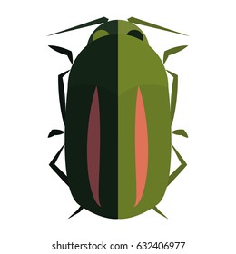 Isolated beetle on a white background, vector illustration