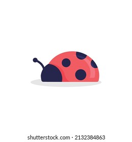 Isolated beetle simple vector logo design