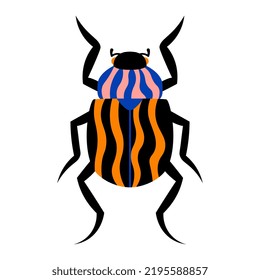 Isolated beetle Summer insect Animal Vector