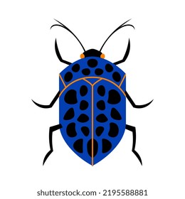 Isolated beetle Summer insect Animal Vector