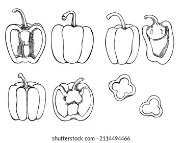 Isolated bell pepper. Pepper hand drawn vector set. Vegetable engraved object style, full, half and slices. Detailed vegetarian food drawings. Product on the agricultural market. paprika icon