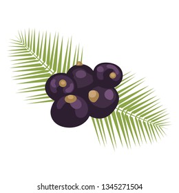 Isolated Berries with palm leaves.