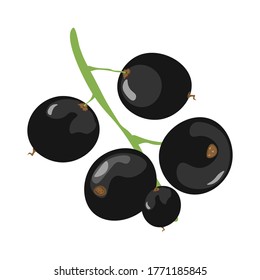 Isolated berry Currant in flat style. Vector illustration EPS10