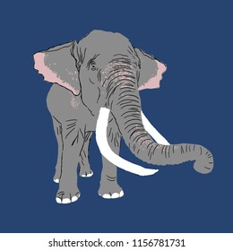 isolated big elephant, animal vector illustration