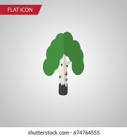 Isolated Birch Flat Icon. Timber Vector Element Can Be Used For Birch, Tree, Forest Design Concept.