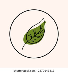 Isolated Birch Leaf icon. Vector illustration in doodle style. Leaf theme of autumn, botany, nature, ecology and planet plants. Hand drawn Design for natural and organic designs, icon, web elements.