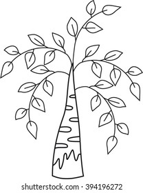 isolated birch, painting, cartoon, vector
