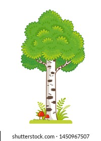 Isolated birch stands in a clearing with a mushroom on a white background. Vector illustration on a forest theme in cartoon style.