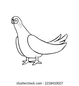 Isolated bird black draw line vector illustration