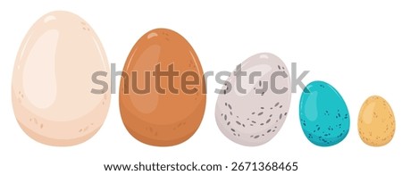 Isolated bird eggs of different colors and sizes. Chicken eggs white and brown, blue thrush, gray quail, yellow. Vector illustration, choice of color and shape. Ingredients for cooking breakfast