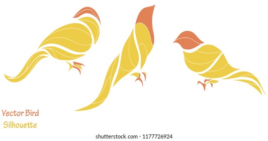 isolated  bird illustration