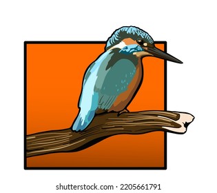 Isolated bird (Kingfisher) on branch vector illustration.