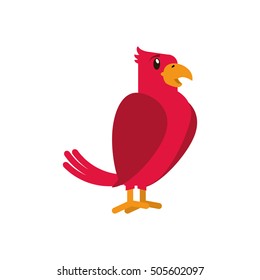 Isolated bird pet design