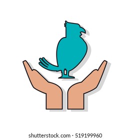 Isolated bird pet over hands design