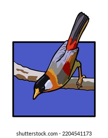 Isolated bird (Silver-eared Mesia) on blue background vector illustration.