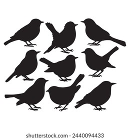 Isolated birds on the white background. Birds silhouettes. Vector EPS 10.	