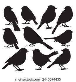 Isolated birds on the white background. Birds silhouettes. Vector EPS 10.	