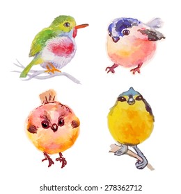 Isolated birds set