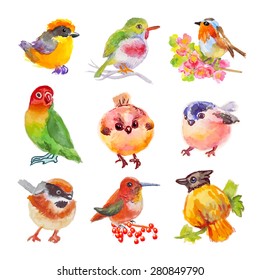 Isolated birds set