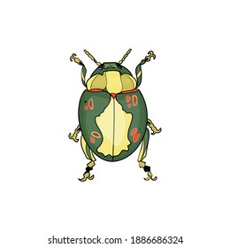 Isolated black beetle in decorations. Jewelry beetle element, blank for designers, luxury logo, icon,