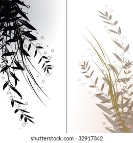Isolated black and brown flowers on the white background