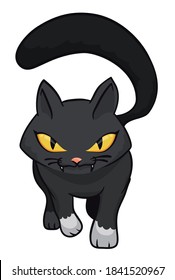 Isolated black cat with furry tail, wicked and fierce look walking to you, over white background.