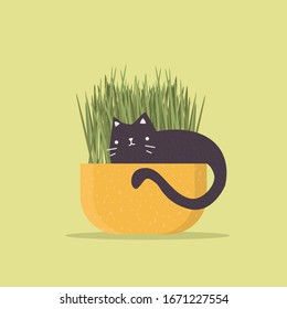 Isolated black cat in pot. Cute funny kitten on grass. Grass in yellow pot.