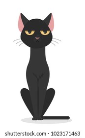 Isolated black cat sitting on white background.