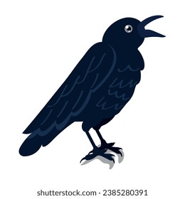 Isolated black crow bird Vector
