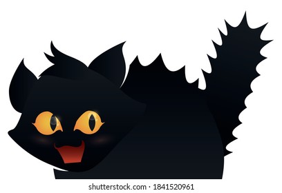 Isolated black, cute and frightened little kitty with bristly fur, over white background.