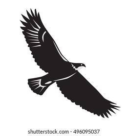 Isolated black eagle on white background. Symbol of USA. Concept of freedom and power.