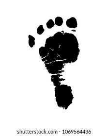 Isolated Black Foot Track Baby