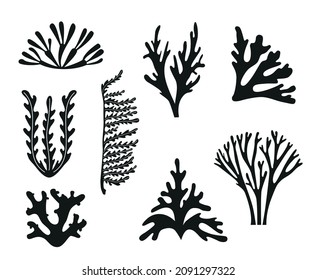 Isolated black icons set silhouettes of seaweed and coral