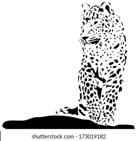 Isolated black jaguar on white background - illustration