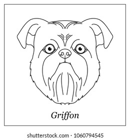 Isolated black outline head of brussels, belgian griffon on white background. Line cartoon breed dog portrait.