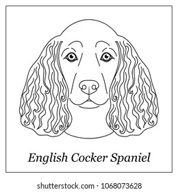 Isolated black outline head of english cocker spaniel on white background. Line cartoon breed dog portrait.