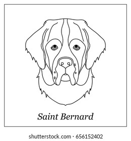 Isolated black outline head of saint bernard on white background. Line cartoon breed dog portrait