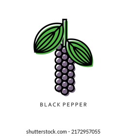 Un grupo aislado de pimienta negra con fondo blanco. vector de contorno simple.