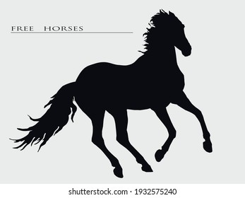 isolated black realistic silhouette of a free horse on a light background