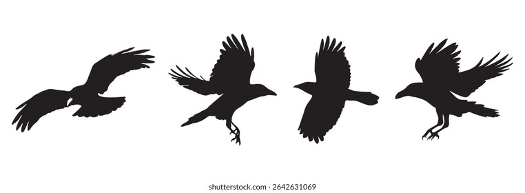 isolated black silhouette bird. raven halloween Dark birds icon clipart. crow collection