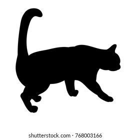 isolated, black silhouette of a cat is coming