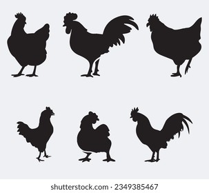 	
isolated black silhouette of a chicken , vector collection	